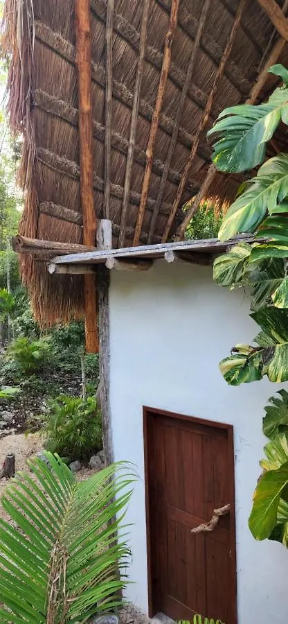 Selva Roca Tulum Casa de hóspedes 0*,